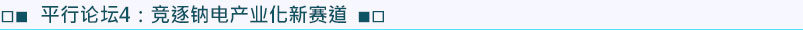 平行論壇4:竟逐納電產(chǎn)業(yè)化新賽道