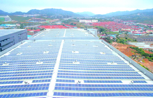 1467612160778010690.jpg 1.jpg