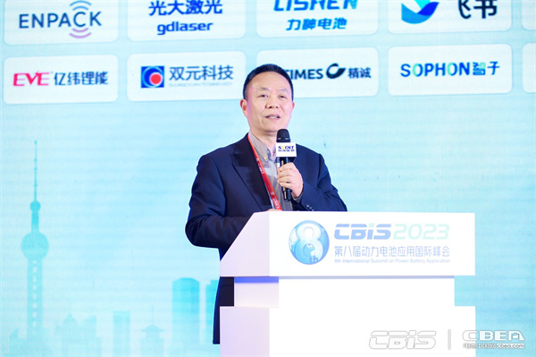 合肥國軒高科動(dòng)力能源有限公司國際業(yè)務(wù)板塊副總裁張銘杰：聚焦海外新能源市場(chǎng)前景與挑戰(zhàn)