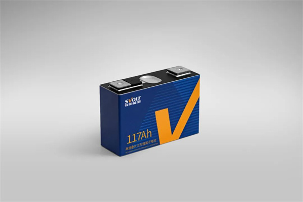 獨(dú)家｜對(duì)話楊紅新：蜂巢能源2024年如何“破卷”？